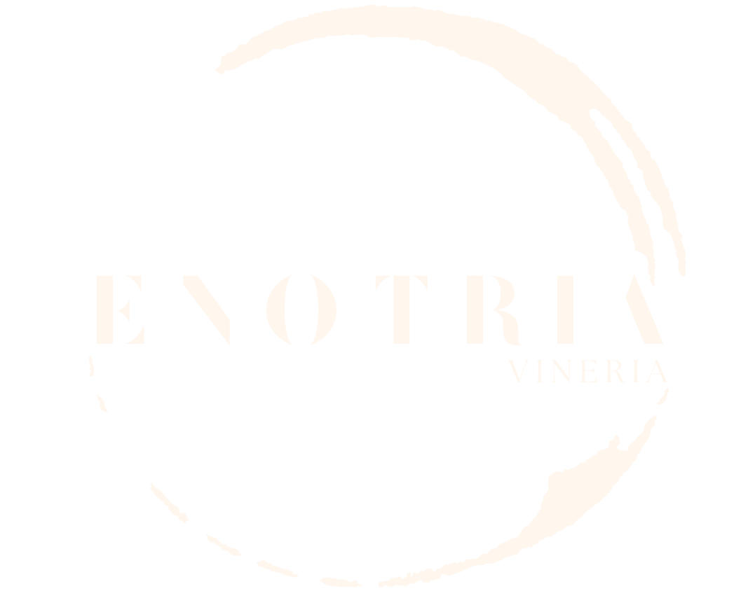Enotria Vineria
